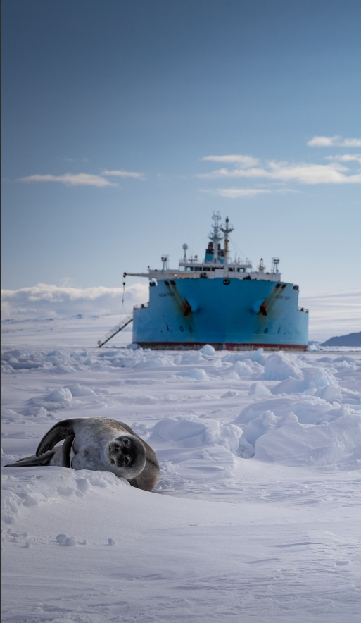 Safety Scuttlebutt Newsletter December 2024